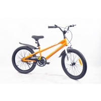 Велосипед Royalbaby 20 BMX-kid ST FREESTYLE
